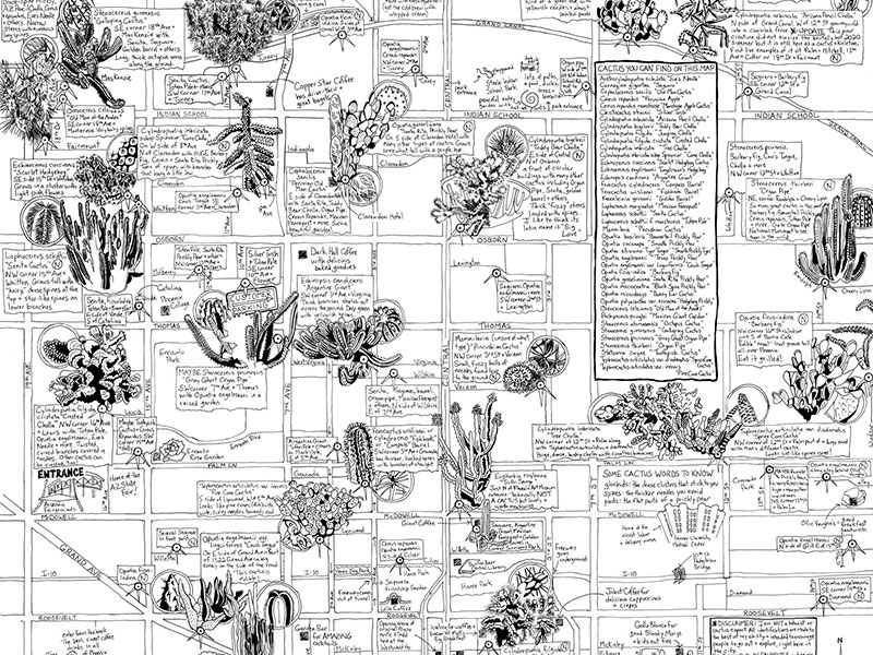 from Steady Hand Maps